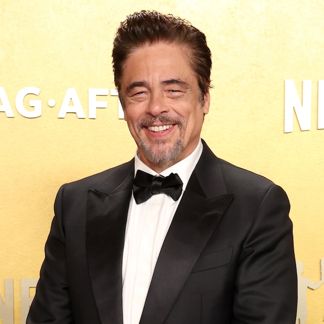 Benicio del Toro attends the 2026 Actor Awards